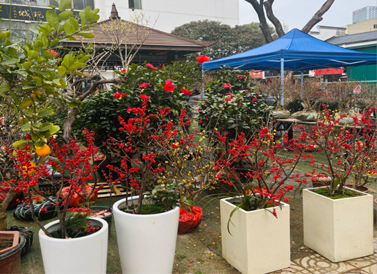 亿万28官网-追求健康,你我一起成长